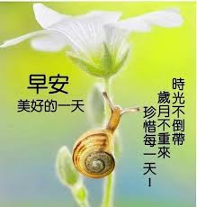 pin by ngyks on 語錄in 2020 good morning corn vegetables