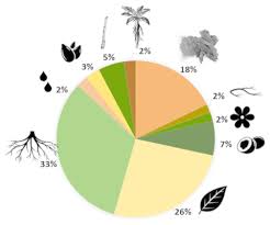 Image result for Droogmansia