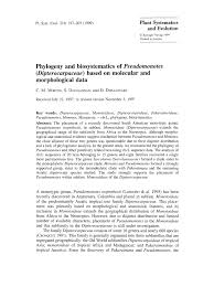 Image result for Monotes hypoleucus