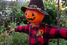 How to Make an Easy DIY Scarecrow in 5 Steps - Our Days Outside