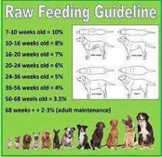 Percentage Feeding Chart Raw Feeding For Dogs Raw Pet