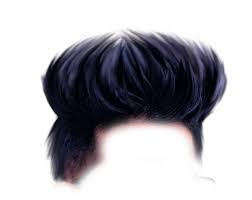 Hair Png Photoshop Hair Hair Png Download Hair