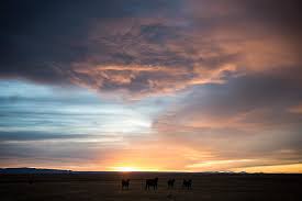 Jump to navigation jump to search. Glasgow Montana The Middle Of Nowhere
