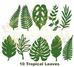 Free Free 227 Tropical Flower Leaves Svg SVG PNG EPS DXF File