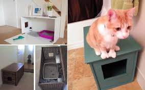 Vous Considerez Votre Chat Comme Un Membre De La Famille Voire Meme Votre Petit Bebe Vous Etes Pret A Tout Pour Lui Fai Toilette Pour Chat Bac A Litiere Chat