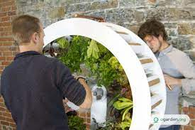 Rotating Indoor Garden Grows Up To 100 Herbs And Vegetables Every Month Vertical Herb Garden Indoor Vegetable Gardening Growing Food Indoors