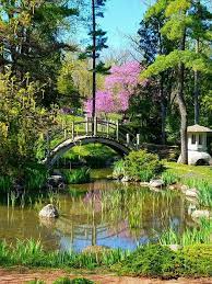 Fabyan Park Geneva Il Japanese Garden Garden Bridge Outdoor