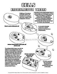 Find the training resources you need for all your activities. Plant And Animal Cell Coloring Pages Worksheets Teaching Resources Tpt