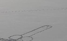 Virus micronesiano modello vettoriale senza cuciture controllato a mano acquista e scarica.vita, aborigeni, virus, disegno a mano, medicina, rotondo, batteri, esperimento, microbiologia. Per Realizzare Un Maxi Disegno Osceno Sul Lago Ghiacciato Rischia La Vita Prima Biella