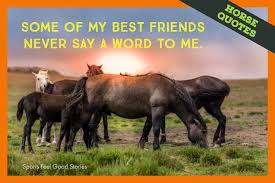 Maybe you would like to learn more about one of these? Best Horse Quotes To Unharness Your Spirits Sports Feel Good Stories