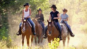 Horse riding holiday in argentina. Hungary Puszta Horsexplore Horse Riding Holiday World Wide Riding Holiday Western