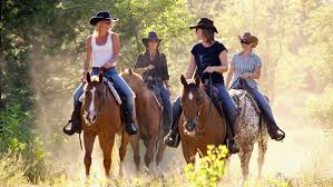 Horse riding holiday in argentina. Hungary Puszta Horsexplore Horse Riding Holiday World Wide Riding Holiday Western
