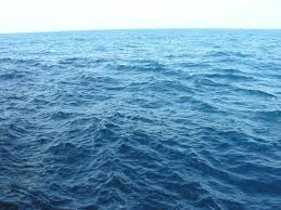 Image result for waters