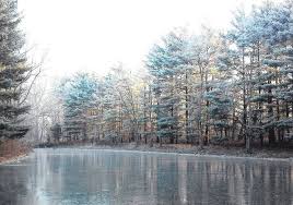 Image result for pogonip fog