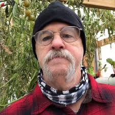 Winter garden and greenhouse. Happy new year. Last tomatoes pulled January  first #mikehamlettphotos #mikehamlettphotography #greenhouse #hydroponics  #hydroponicgarden