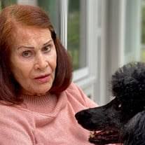 Joy Binion Teeft Obituary (2024)