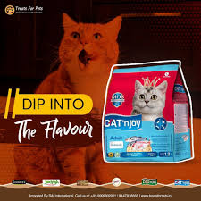 The Flavour Taste So Good That Your Kitty Will Fall In Love With It Serve Them Now Catfood Catlovers Treatsforpets Healthy Cat Food Cat Day Cat Food