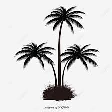Rangkuman materi pemeliharaan tanaman belum menghasilkan. Gambar Corak Pokok Sawit Hitam Clipart Pokok Pokok Kelapa Berkembang Png Dan Psd Untuk Muat Turun Percuma à¸• à¸™à¸›à¸²à¸¥ à¸¡ à¸• à¸™à¹„à¸¡ à¸ž à¸™à¸«à¸¥ à¸‡