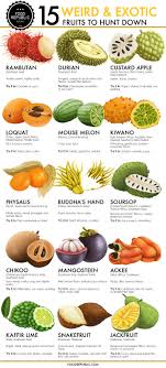 The mango is the national fruit of india , pakistan and the philippines , 5 6 while the mango tree is the national tree of bangladesh. 15 Exotic Fruits You Need To Try Right Now Venngage Infographic Examples