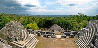 Sigue acá caracol en vivo. Caracol Wikipedia