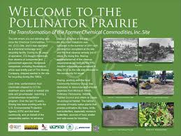 Showcase listing of butterflies and moths found in the state of texas. Pollinator Prairie Pollinator Org