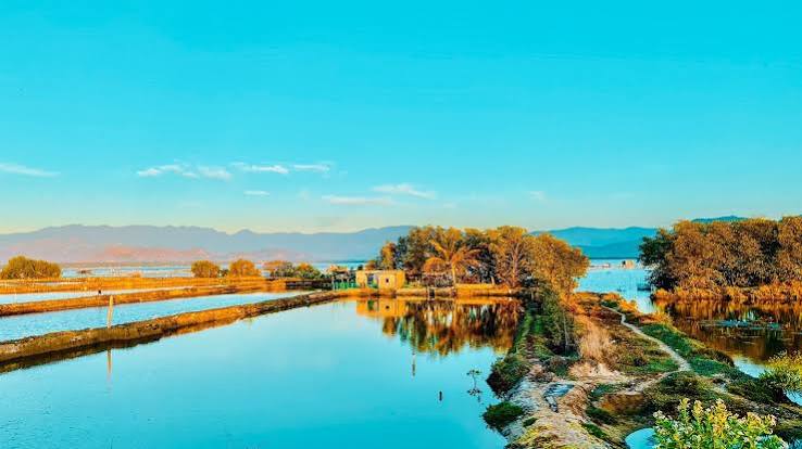 Đầm Thủy Triều Cam Lâm Khánh Hòa: Điểm du lịch hoang sơ tuyệt đẹp 2026 – VinWonders