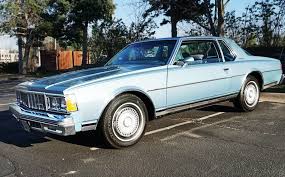 Image result for Cosmos Blue 1979 Capri