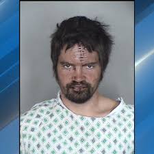 Man who attacked Chico homeowner with scissors, toilet lid pleads no contest