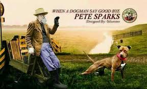 Pin By Zach Beach On Apbt American Pitbull Dog Games Pitbull Terrier