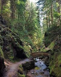 Puck S Glen This Dreamy Forest Is Located Near Benmore In The Argyll Forest Park Scottish Landscape Places To Visit Landscape Photography