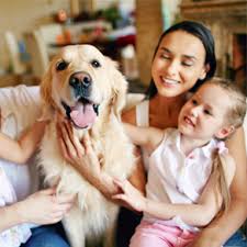 Maybe you would like to learn more about one of these? Nyc House Call Vet City Pets Manhattan Mobile Veterinarian