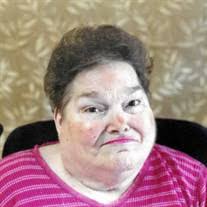 David Komorowski's Instagram, Twitter & Facebook