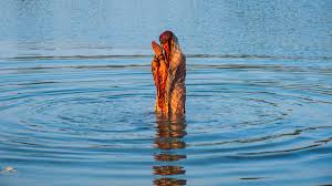 सपने में गंगा स्नान करने का क्या मतलब होता है | bathing in ganga river  dream meaning | HerZindagi