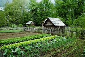 Переглянути оригінальне зображення