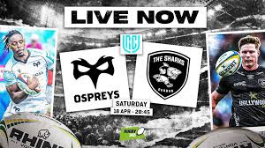 Injury-hit Sharks focus on positives before Ospreys clash