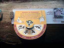 Bronx Zoo Madagascar Exhibit On Risd Portfolios Zoo Signage Museum Exhibition Design Exhibition