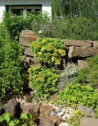jardin sec les ingredients indispensables pour un jardin sec reussi en 2021 roche amenagement paysager jardin sec jardins