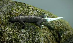 Geckos | Team Ico Wiki | Fandom