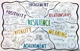Resilience is the psychological quality that allows some people to be knocked down by the adversities of life and come back at least as strong as before. Building Resilience Cmha Haliburton Kawartha Pine Ridge