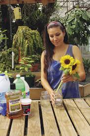 Dec 01, 2015 · heat waves or extreme temperature events are projected to become more intense, more frequent, and last longer than what is being currently been observed in recent years (meehl et al., 2007). What Makes Cut Flowers Last Longer Finegardening