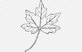 500+ vectors, stock photos & psd files. Maple Leaf Drawing S Of Maple Leaves White Maple Leaf Png Pngwing
