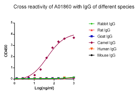 We are currently offering secondary antibodies recognizing mouse, rat, goat, sheep, and rabbit igg as. Monorab Rabbit Anti Camelid Vhh Antibody Mab Antibody Genscript