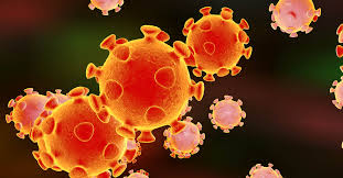 Image result for coronavirus images