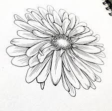 Flowers Positivity Magic V Instagram The Aster To Me Is Such An Enchanting Flower With Its Delicate Pencil Drawings Of Flowers Flower Drawing Aster Flower