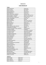 Image result for Aristida rhiniochloa