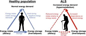 Body Mass Index And Dietary Intervention Implications For