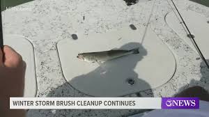 Texas fish & game magazine, houston, texas. Trout Regulations In Corpus Christi Kiiitv Com