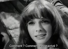 Brenda SCOTT (1943- )