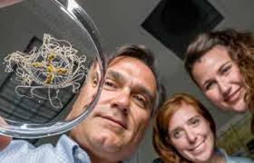 PRESERVING OUR WORLD