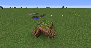 For dark oak, acacia and birch, it applies to each chunk. I Found A Way To Make 2x2 Oak Trees In Minecraft Album On Imgur